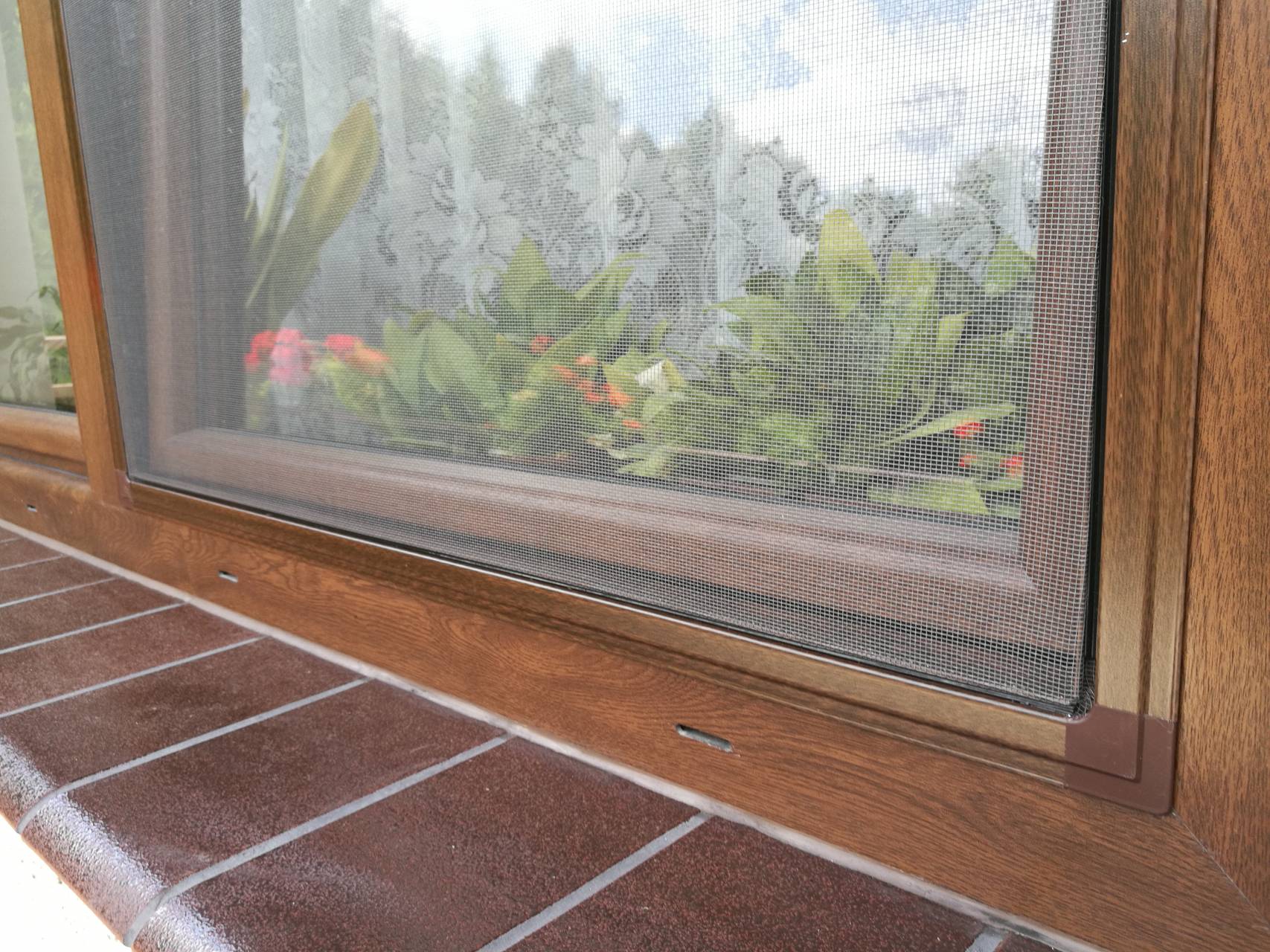 ECO putukavõrk aknaraamile